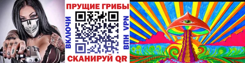Псилоцибиновые грибы Psilocybe Талица